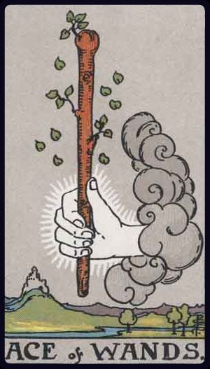 Ace of Wands tarot card